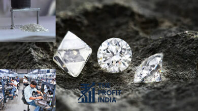 US Tariff: Diamond Polishing Industry Revenue May Fall by 30%, 21 points