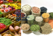 India’s Retail Inflation Rises to 2.54% in August 2025, 5 Points