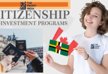 0B+ Citizenship Investments: How CBI Programs Boost Global Business, 10 Points