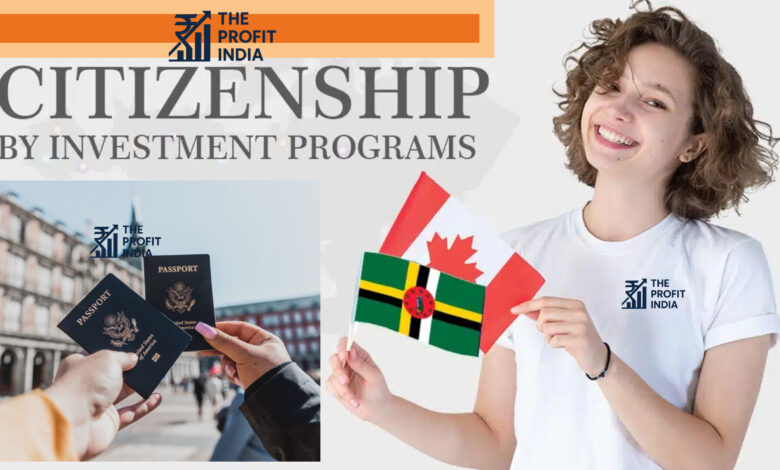 0B+ Citizenship Investments: How CBI Programs Boost Global Business, 10 Points