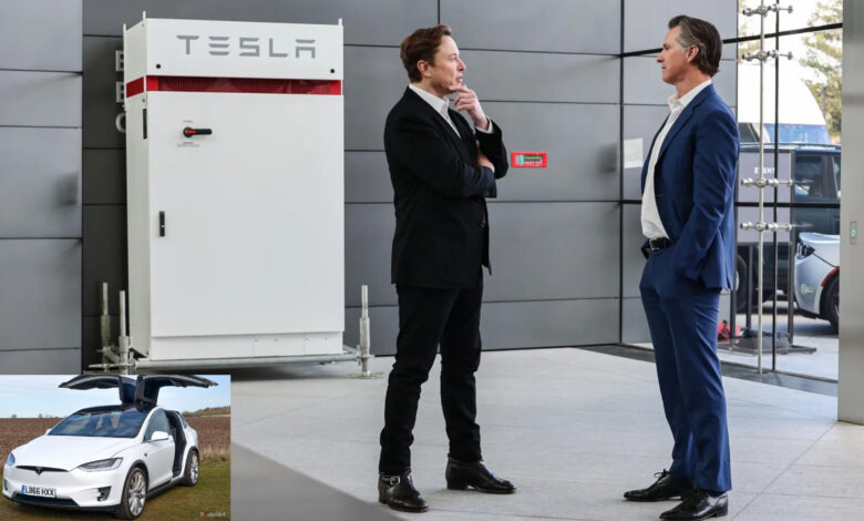 Tesla Approves Trillion CEO Stock Grant for Elon Musk 7 Points Tesla Approves Trillion CEO Stock Grant for Elon Musk 7 Points